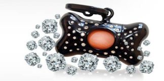 bonton-diamonds-united-pets