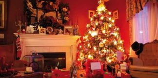 Albero di Natale: 10 idee per decorarlo con eleganza