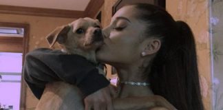 Ariana Grande e le borse Coach Pups: il suo cane testimonial a fin di bene