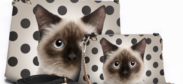 Manie Bag, linea Animal: gatti disegnati su borse e accessori [FOTO]