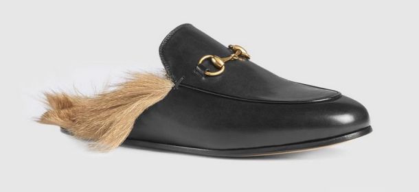 Gucci lancia i mocassini di canguro: web in rivolta. Scatta la petizione
