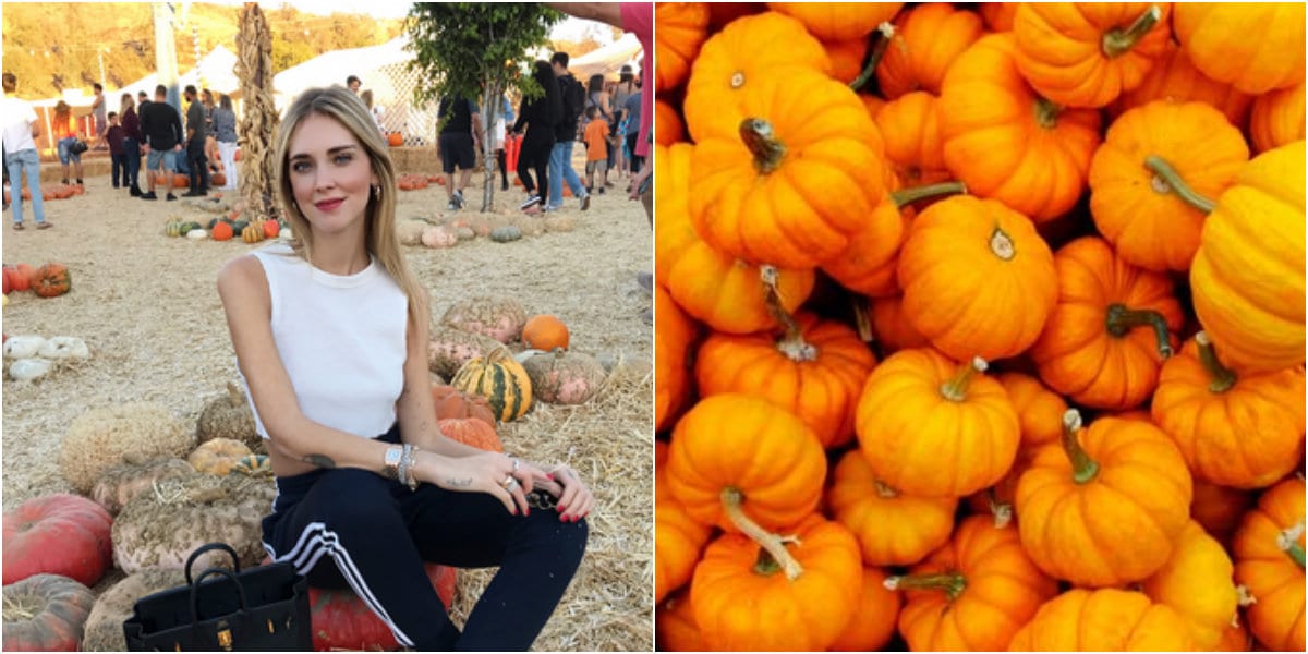 ferragni zucche