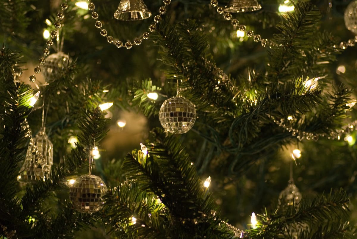 albero