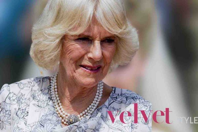 Chi è la figlia di Camilla?