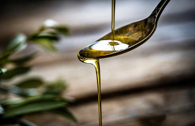 Olio evo dieta microbioma