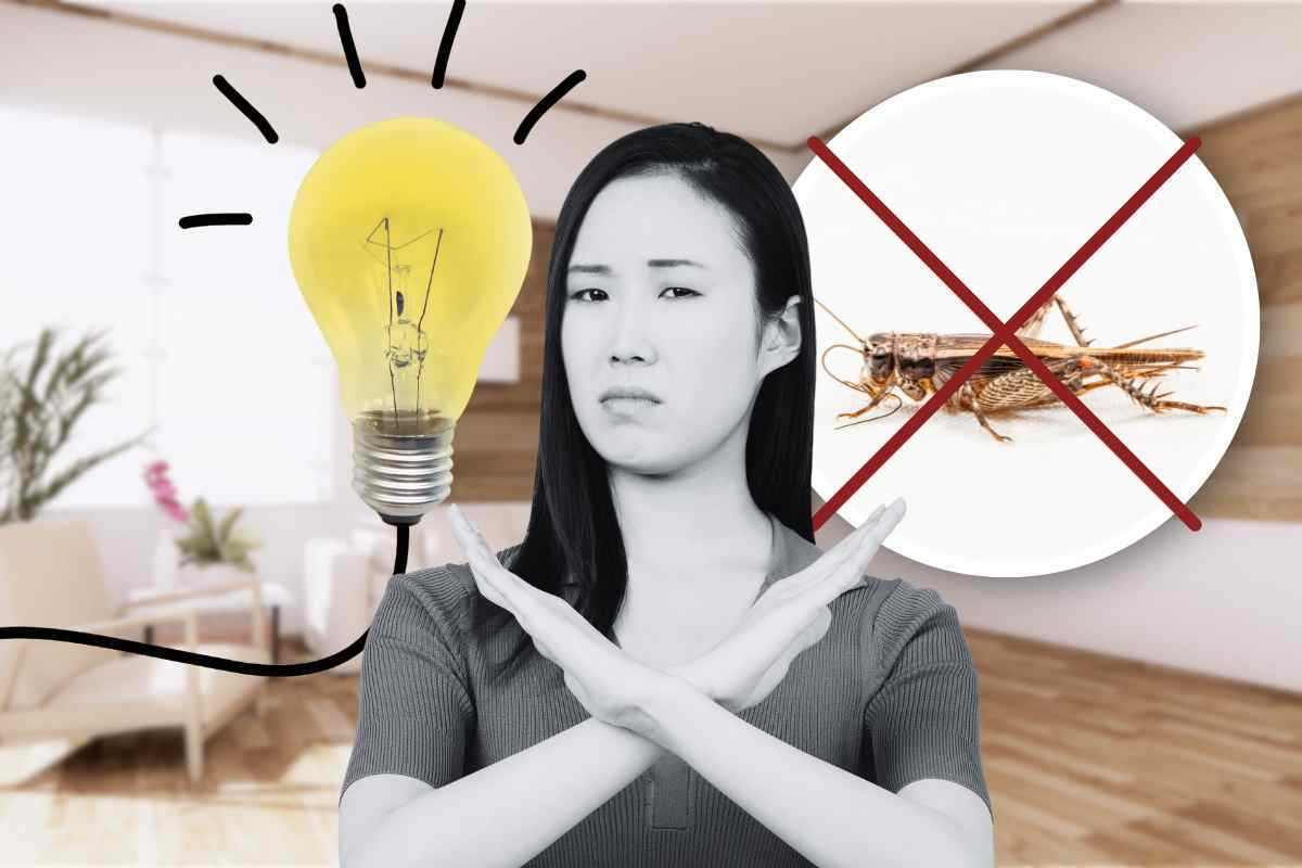 Eliminare insetti casa