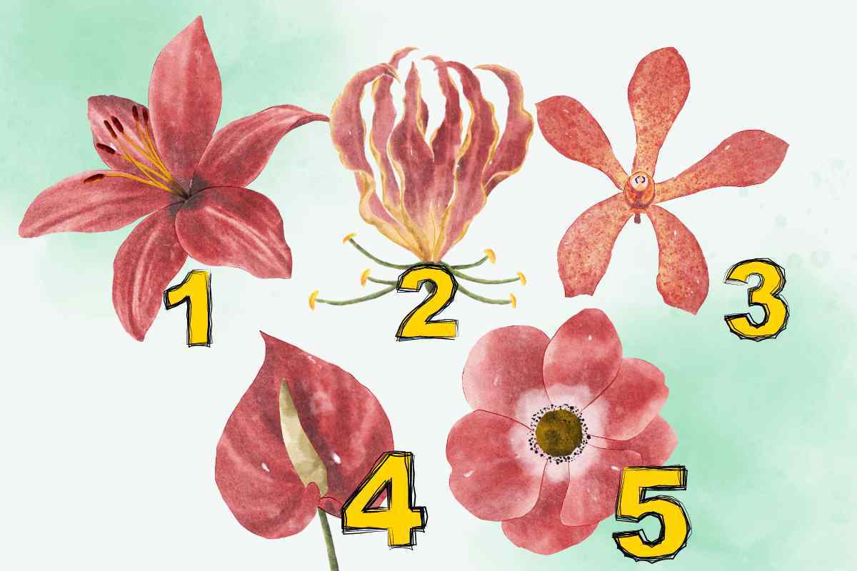 Test della personalità, scegli il fiore