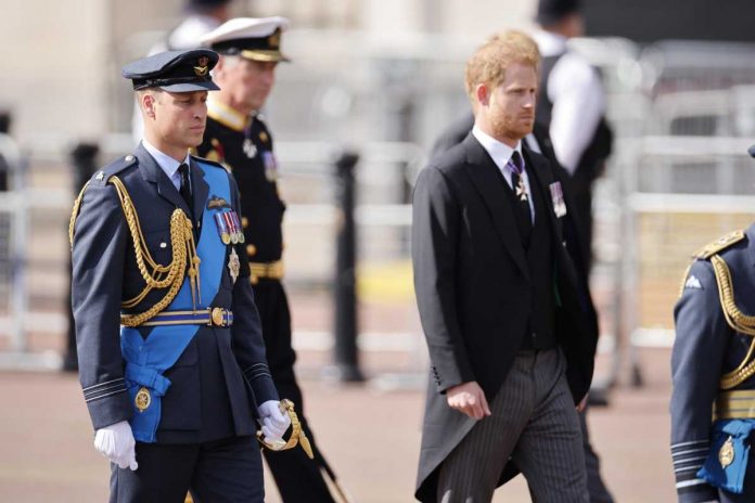 William e Harry principi william e harry