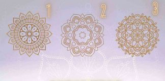 test del mandala