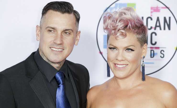 Pink Carey Hart terapia