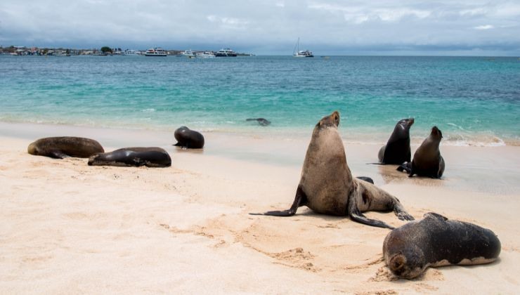 isole Galapagos