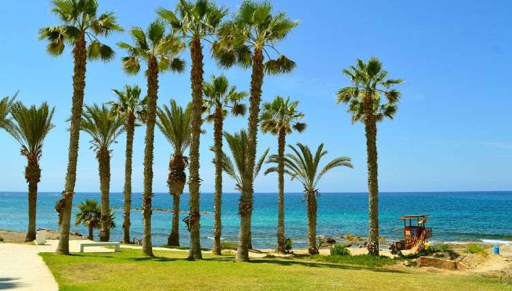 Cipro vacanza