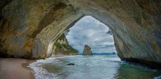 Dipinto naturale