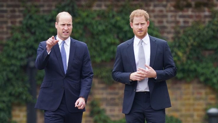 cugino william e harry