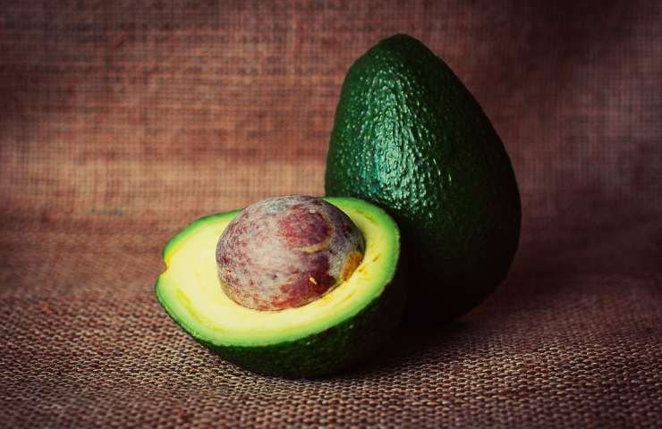 come conservare l'avocado