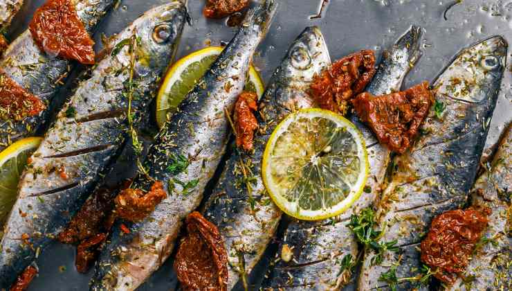 ricette con sardine