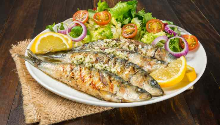 le sardine contengono omega-3