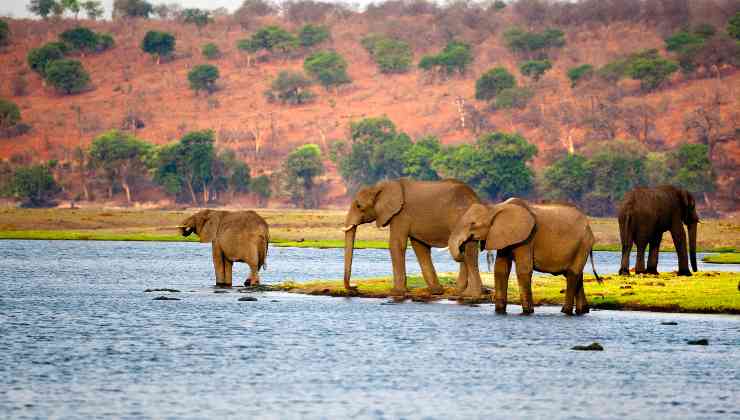 il botswana è molto caro a harry e meghan