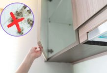 Farfalline del cibo cucina trucchi eliminarle