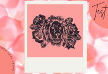 Test leone fiori