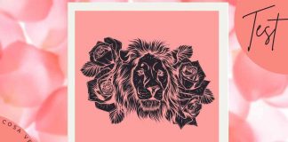 Test leone fiori