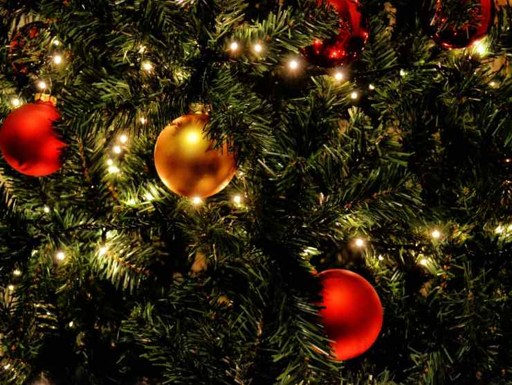bolletta luci albero di Natale
