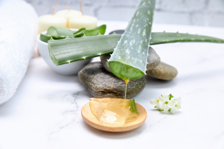 Maschera aloe vera 