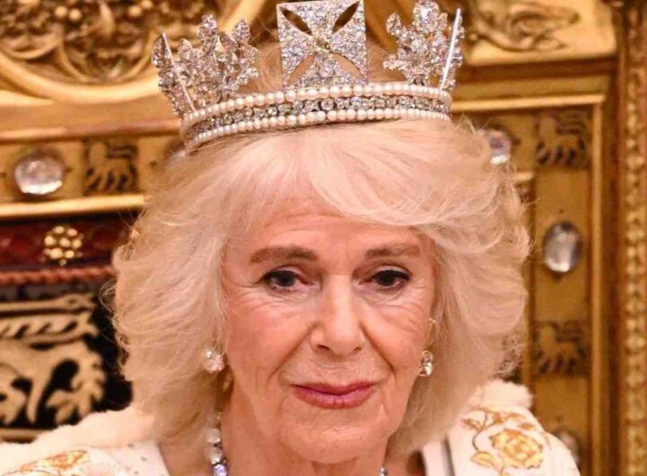 Regina Camilla, gioielli